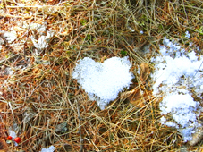 f0034574_2395585.jpg