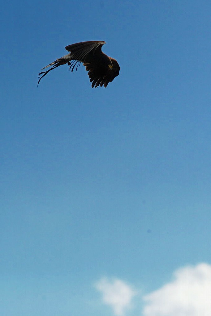 e0099576_2183223.jpg