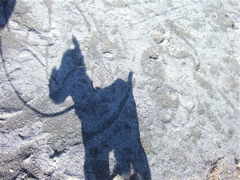 b0143879_15482332.jpg