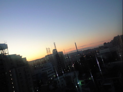 b0034381_6342210.jpg