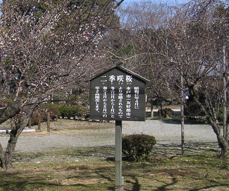 e0023183_6282962.jpg