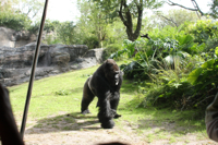 c0130986_22473275.jpg