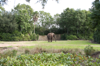 c0130986_22522647.jpg
