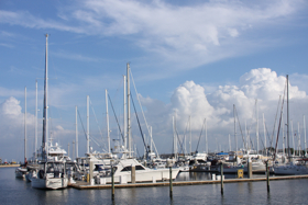 c0130986_23324219.jpg