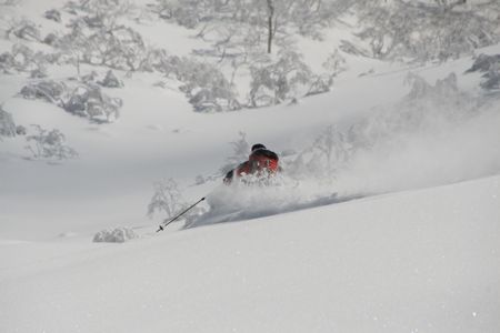 f0087787_11514717.jpg