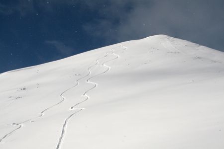f0087787_1152385.jpg