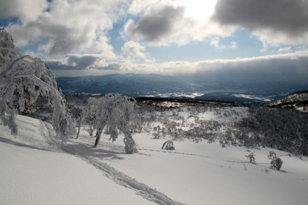 f0087787_11523988.jpg