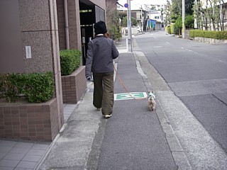c0191390_16455119.jpg