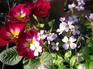 c0191390_17324979.jpg