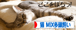 にほんブログ村 猫ブログ 猫MIX多頭飼い へ