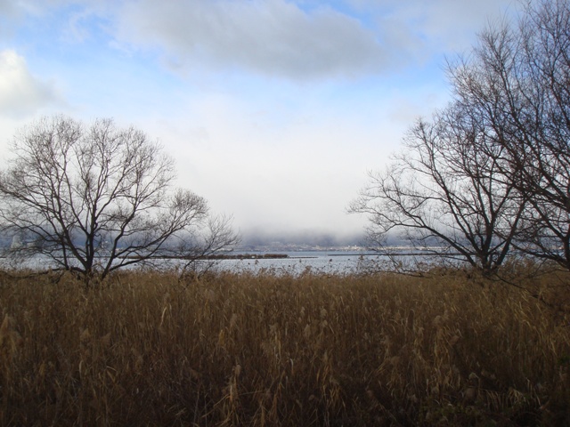 e0111793_1720951.jpg
