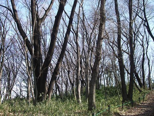 f0153998_2352027.jpg