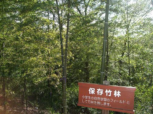 f0153998_2353302.jpg