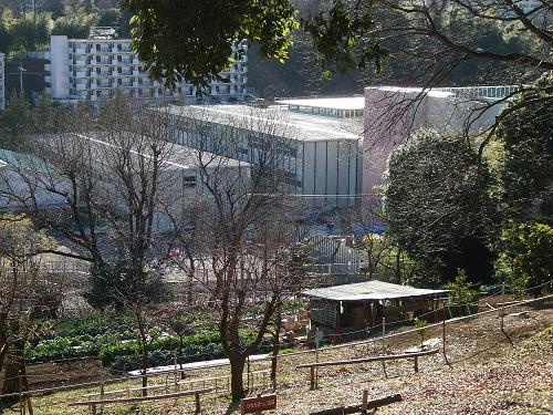 f0153998_23551115.jpg