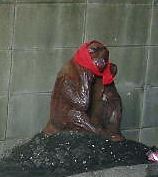 f0035506_027993.jpg