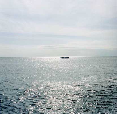 f0053506_056590.jpg