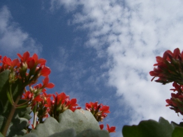 f0133814_0484779.jpg