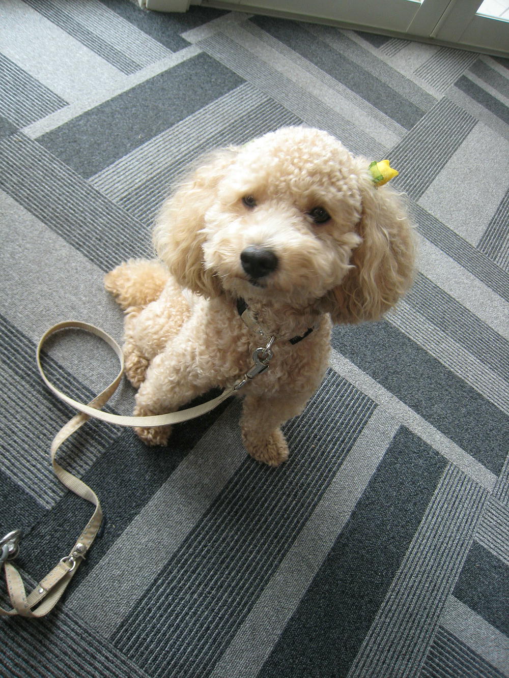 c0060920_11254560.jpg