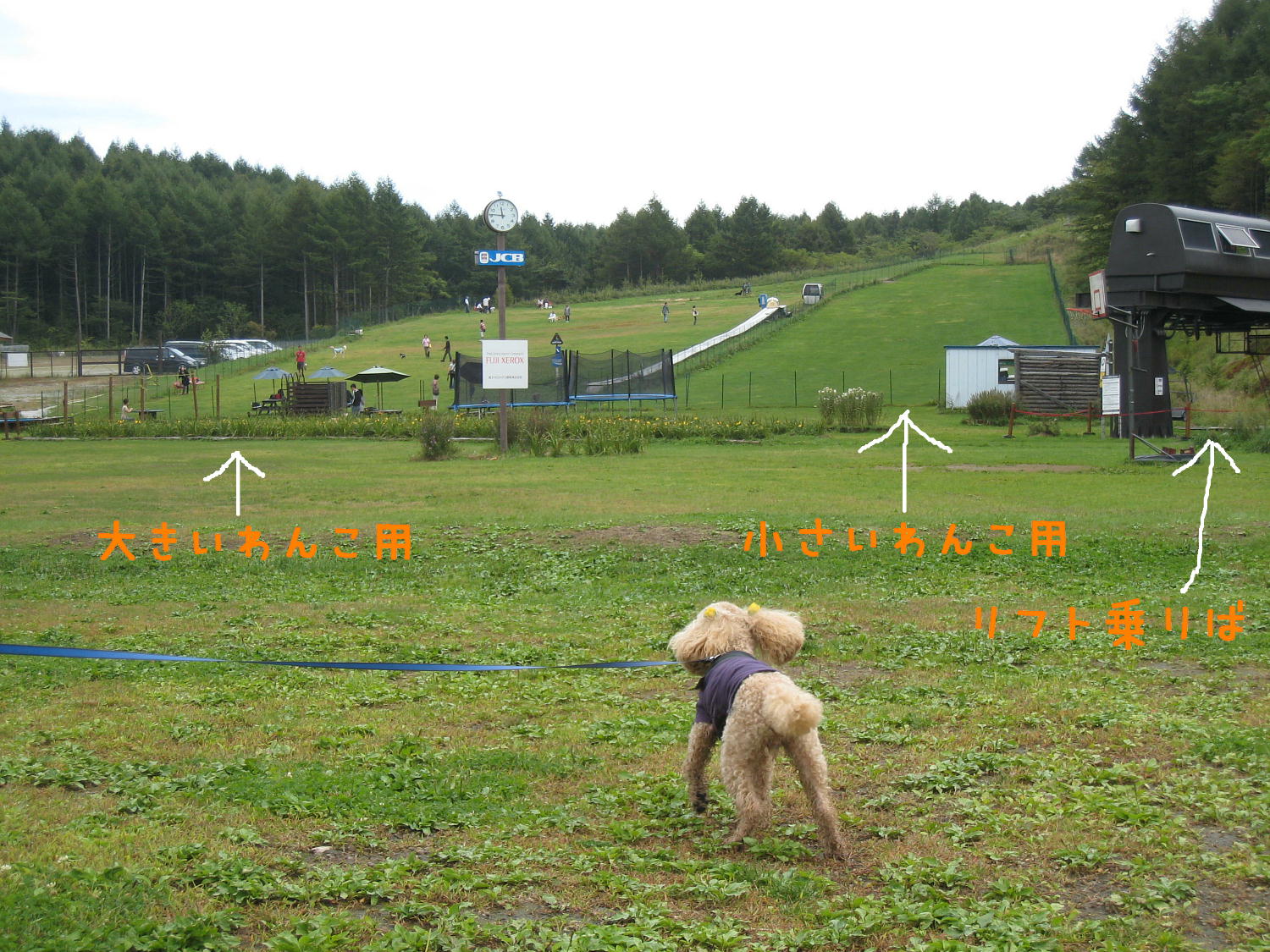 c0060920_11331482.jpg