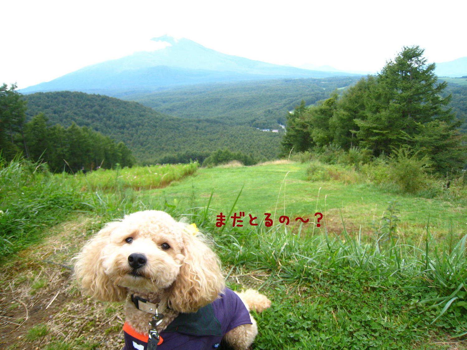 c0060920_11361785.jpg