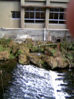 d0017924_2335456.jpg