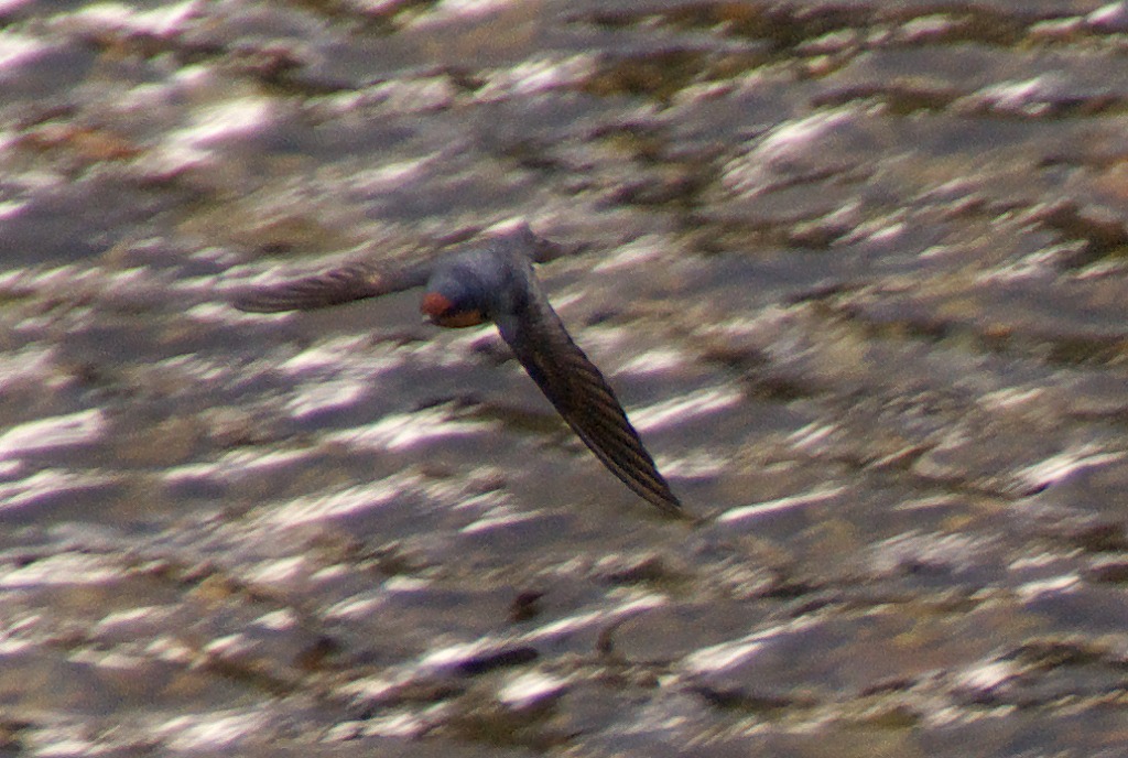 d0053930_1828925.jpg
