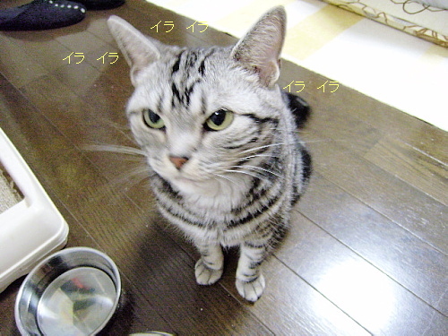f0175434_0542223.jpg