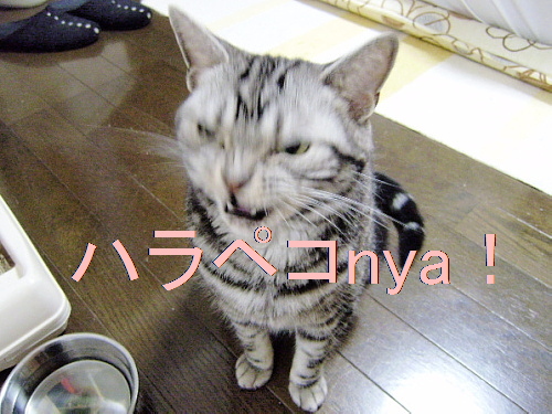 f0175434_103046.jpg