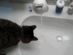 c0136736_18515158.gif