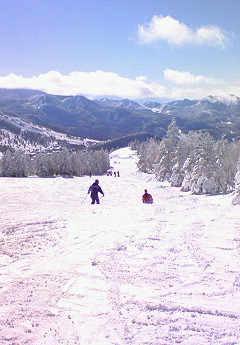b0070552_134349100.jpg