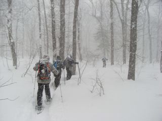 f0083262_23115471.jpg