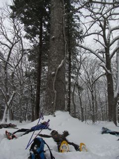 f0083262_23121234.jpg