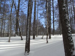 f0083262_23132260.jpg
