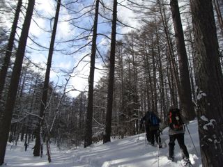 f0083262_2313457.jpg