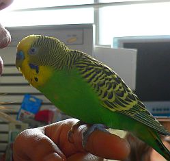 f0196665_072745.jpg