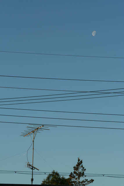 c0163369_8424695.jpg