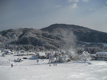 f0161669_16392824.jpg