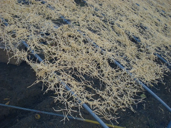 f0165677_194620.jpg