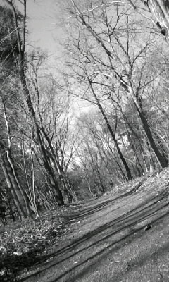 f0100480_21411041.jpg