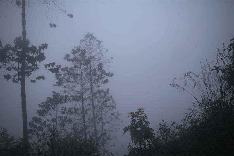 c0193289_19411392.gif