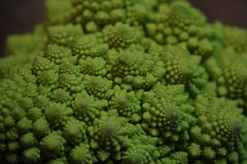 c0040891_151561.jpg