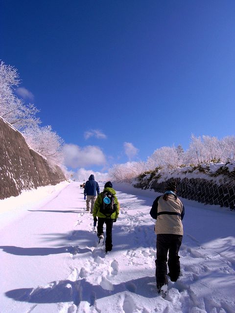 a0093592_22413695.jpg