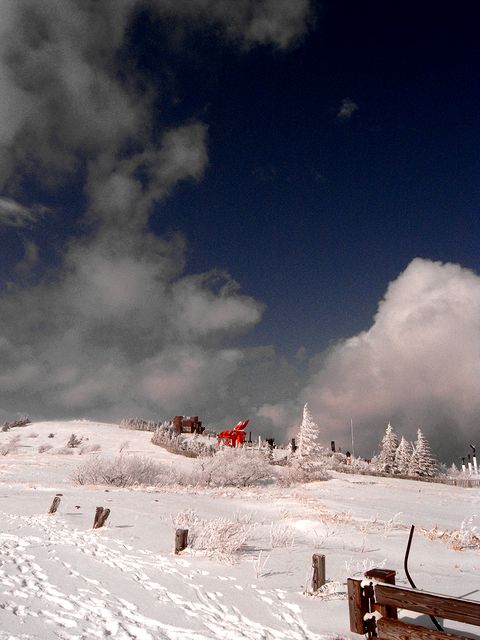 a0093592_22461924.jpg
