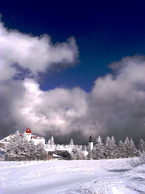 a0093592_2247367.jpg