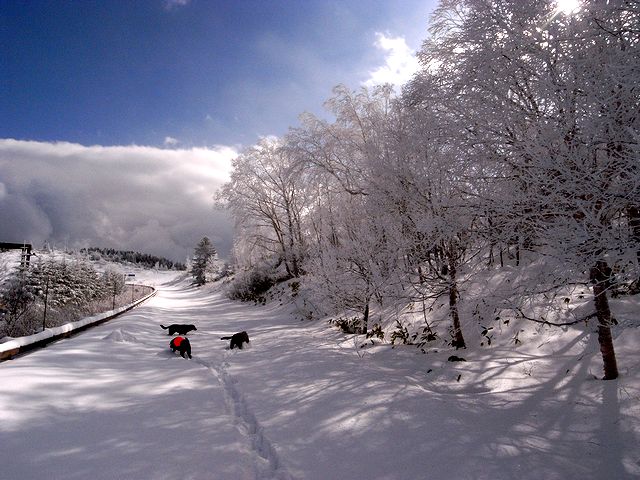a0093592_23103721.jpg