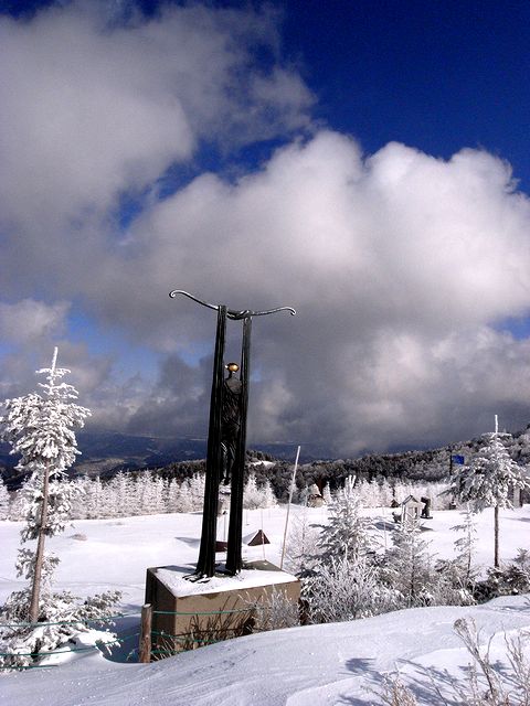 a0093592_2317386.jpg