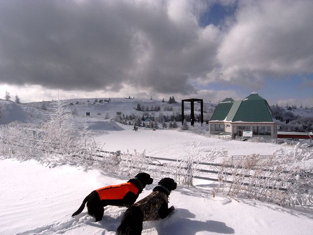a0093592_232404.jpg
