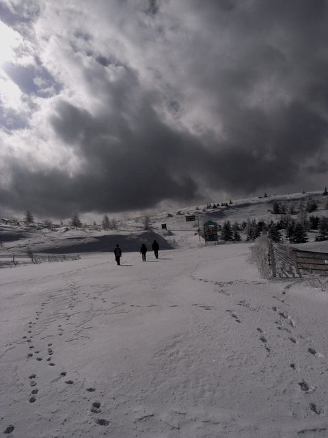 a0093592_23272414.jpg