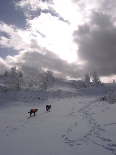 a0093592_23301999.jpg