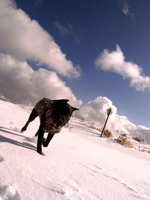 a0093592_2341364.jpg